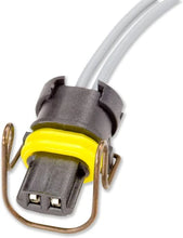 Load image into Gallery viewer, VGT/ IPR/ EBPV PIGTAIL